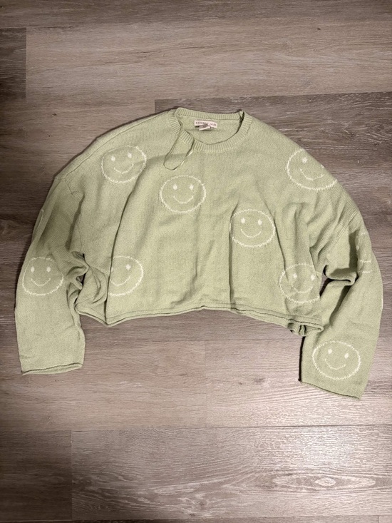 Sincerly Jules Sweaters - Smiley Crop Sweater - Light Green